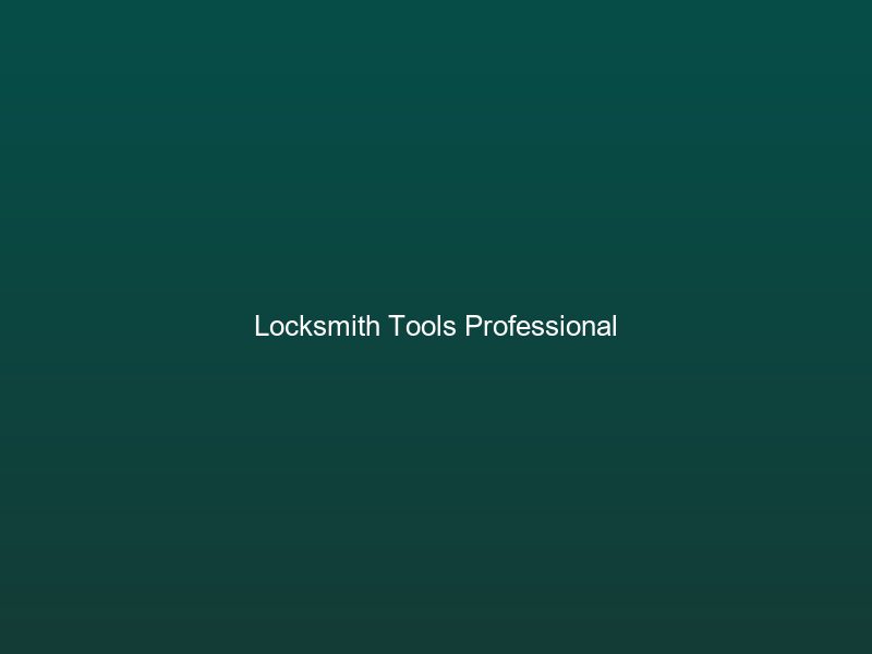 Professional locksmith tools -- pick set, tension wrenches, decoder tools